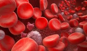 Järntabletter blodkroppar